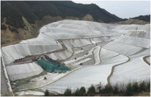 天然环保橙子视频app在线下载布可吸收铜铅铬等重金属