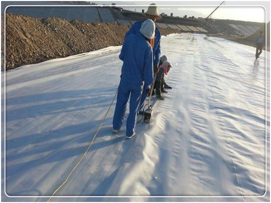 应用橙子视频app在线下载膜的水库防渗体是由哪三层组成的