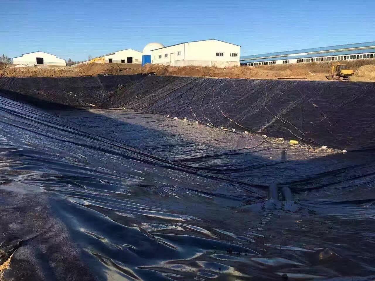 水库铺设橙子视频app在线下载膜底部垫层15cm细沙的作用?