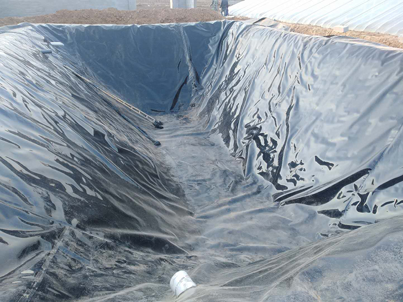复合排水网怎样搭接可防止戳破防渗橙子视频app在线下载膜