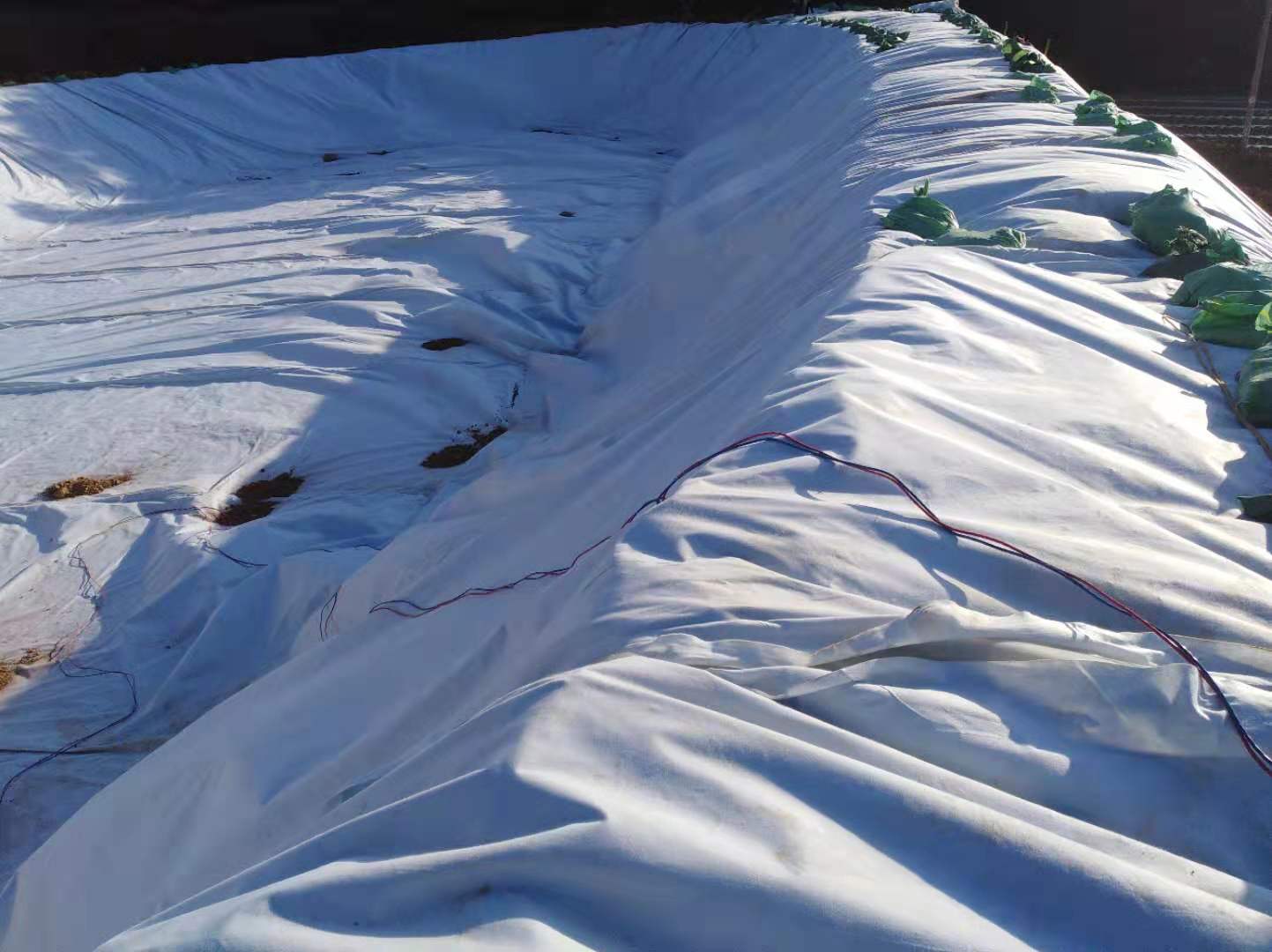 复合橙子视频app在线下载膜方式总体与防水层结构加固的经济收益
