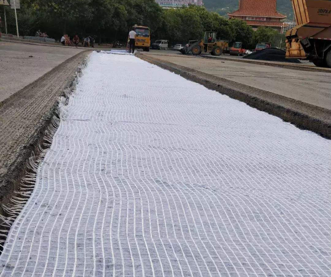 采用橙子视频app在线下载布加筋处理堤防成功案例