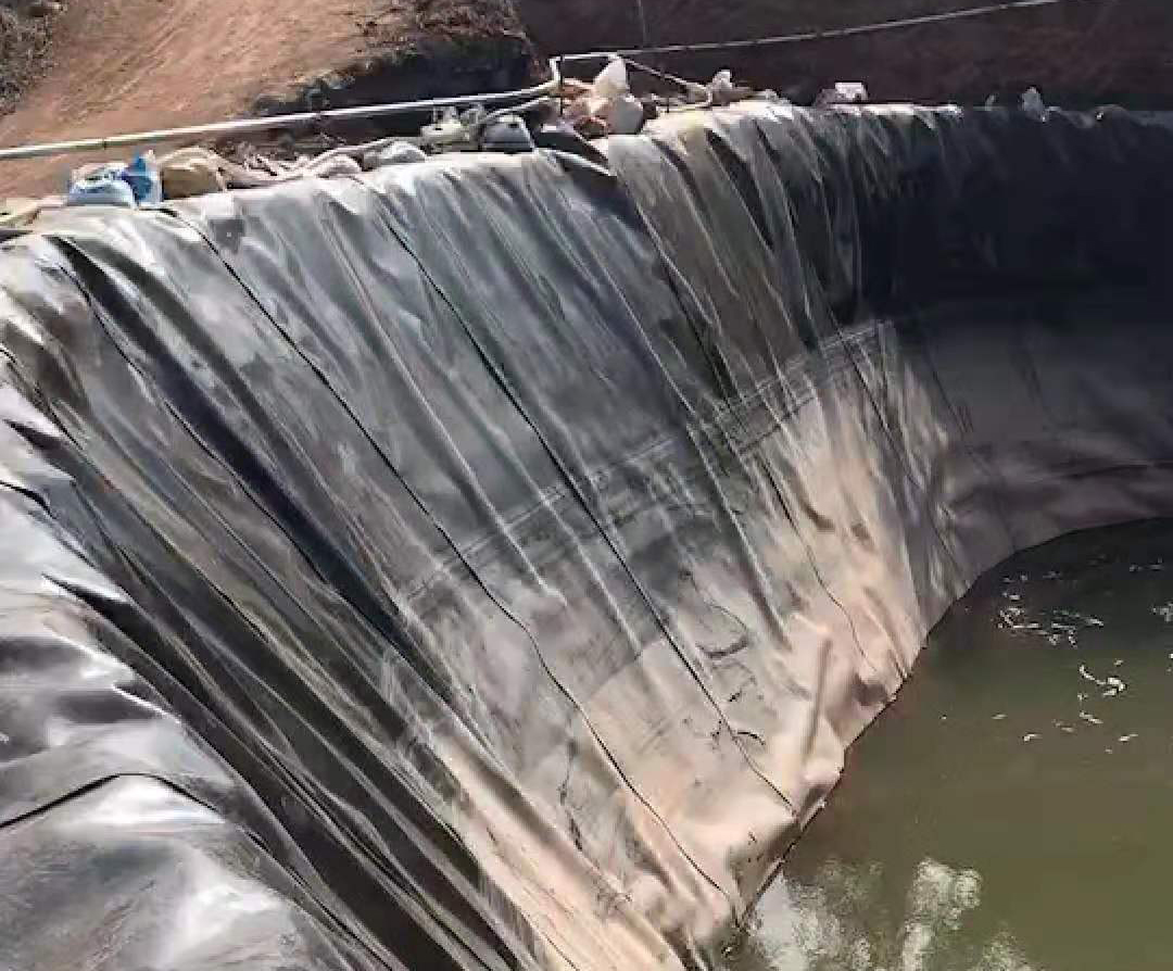 橙子视频app在线下载膜损伤程度的直接影响是透水孔的数目的变化