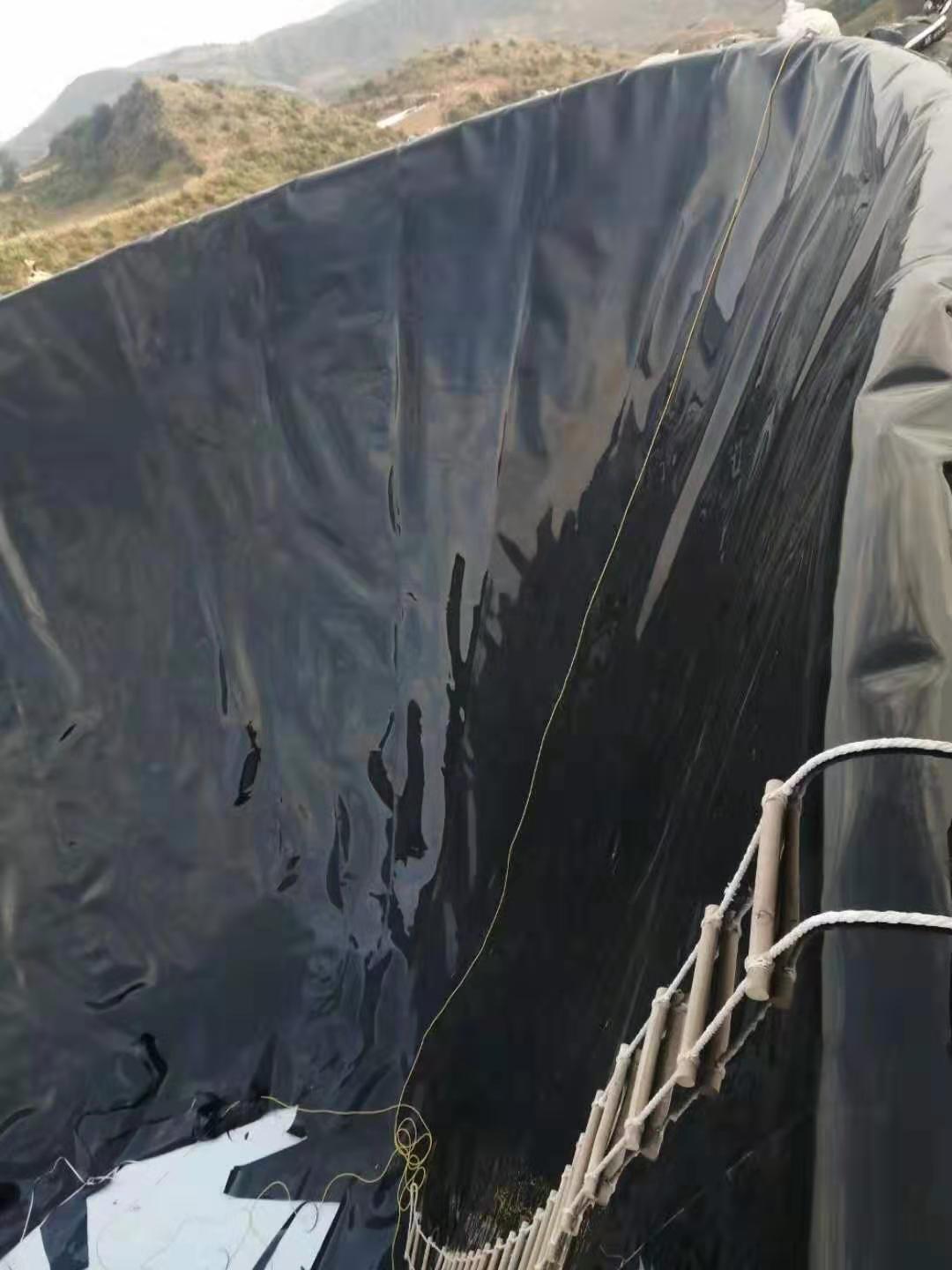 橙子视频app在线下载膜现场检漏的方法大概有两种