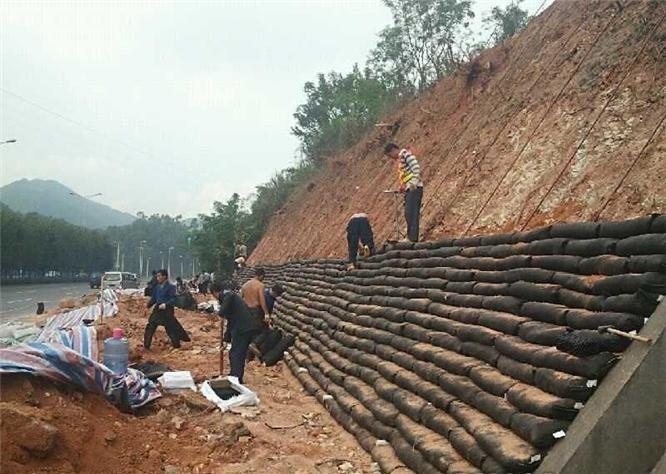 非织造橙子视频app在线下载布在环境绿化中起着十分重要的作用