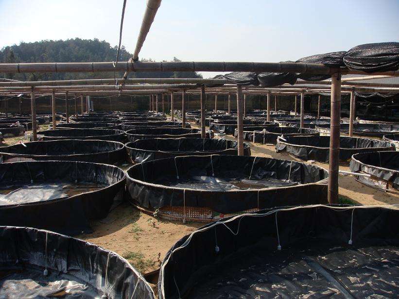 请参考石油储罐基础设施橙子视频app在线下载膜施工方法