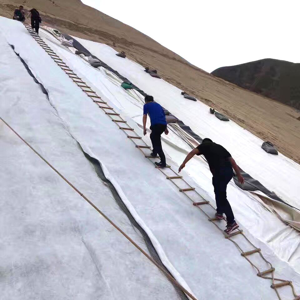 橙子视频ios苹果下载实际应用范围比较广泛
