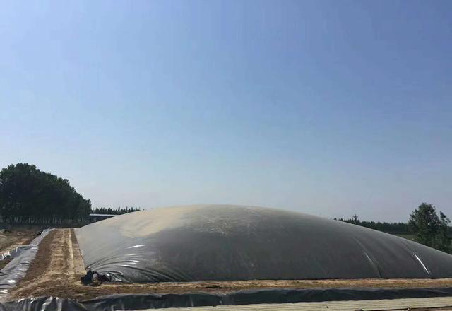 规格0.6mm橙子视频app在线下载膜铺设需要注意的细节问题