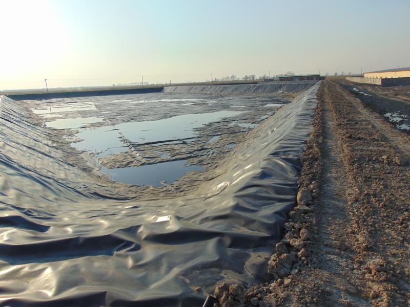 复合橙子视频app在线下载膜修复有缺陷地方确保发挥完美效果