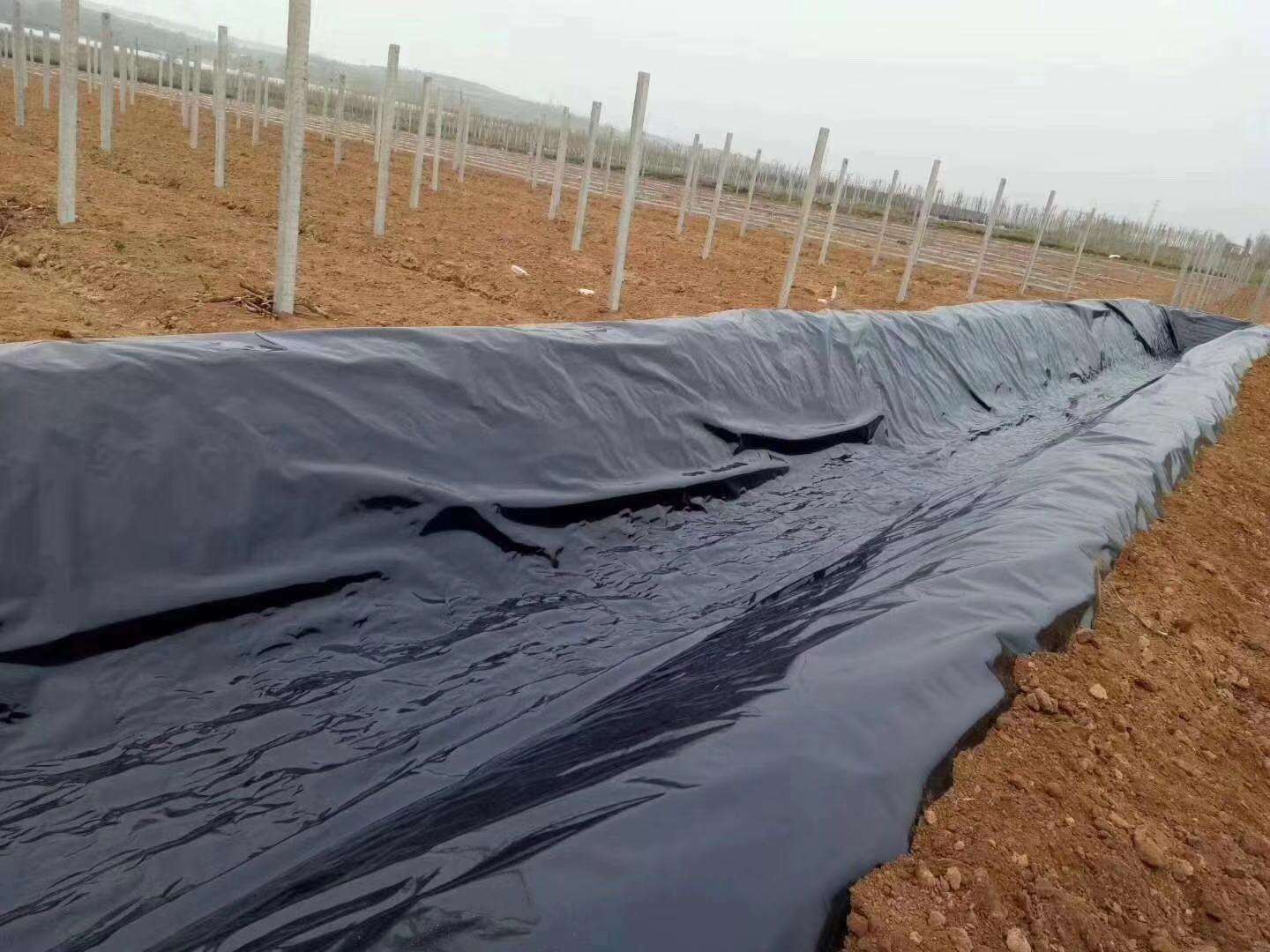 橙子视频app在线下载膜常用于垃圾填埋场、水库等，其渗透性能极其重要