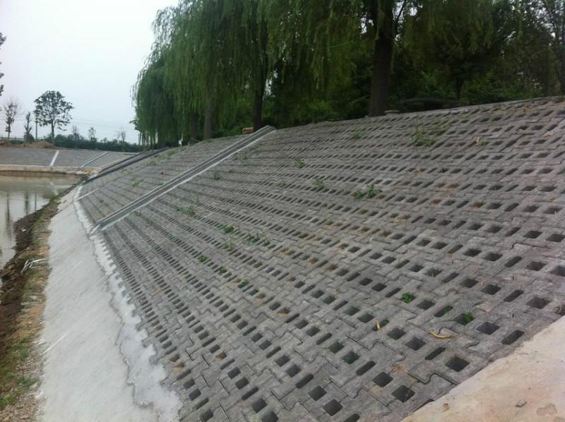 3种常见的坡式护岸技术分别是什么类型？